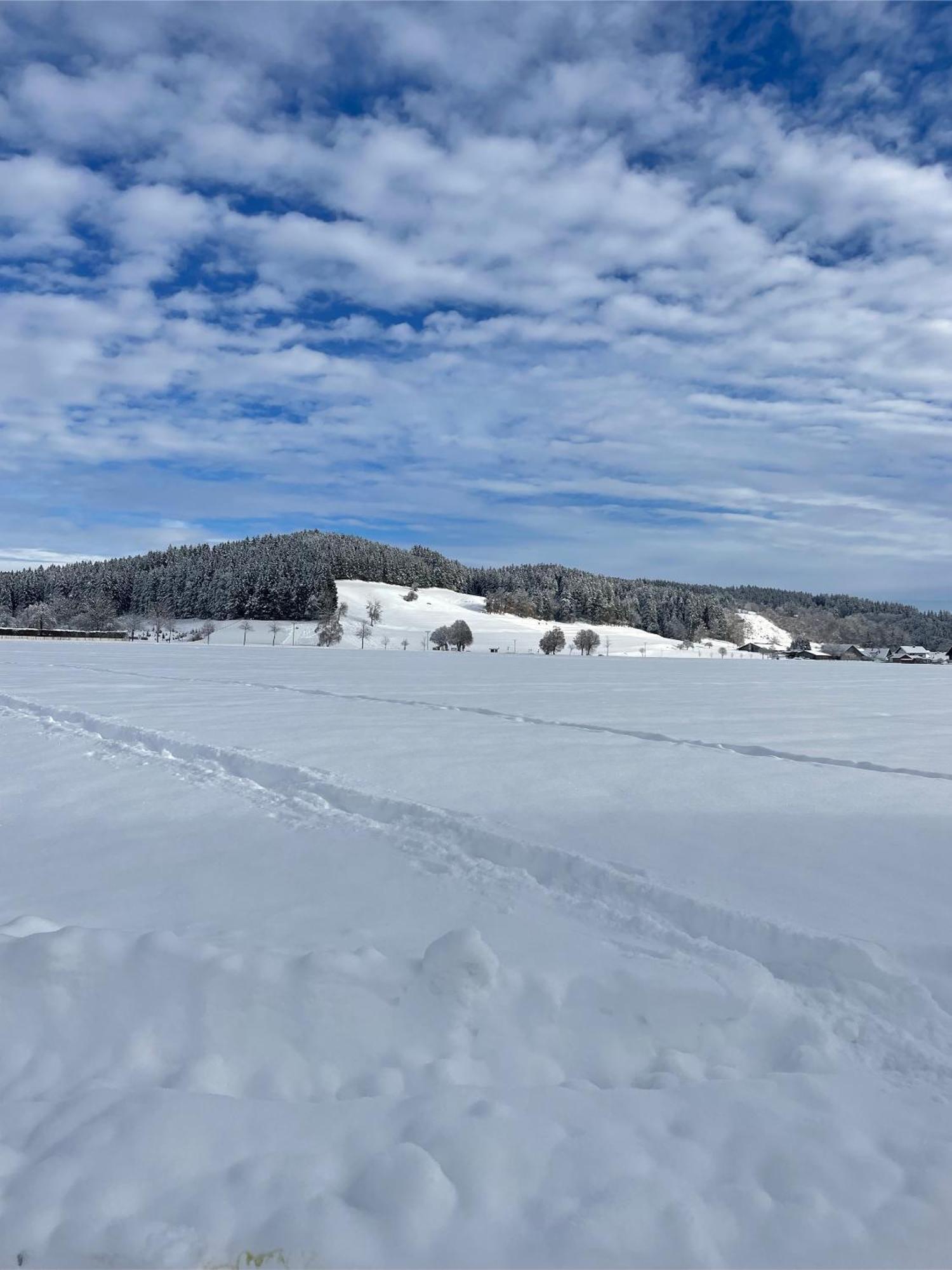 شقة Salty Sol Leutkirch im Allgäu المظهر الخارجي الصورة