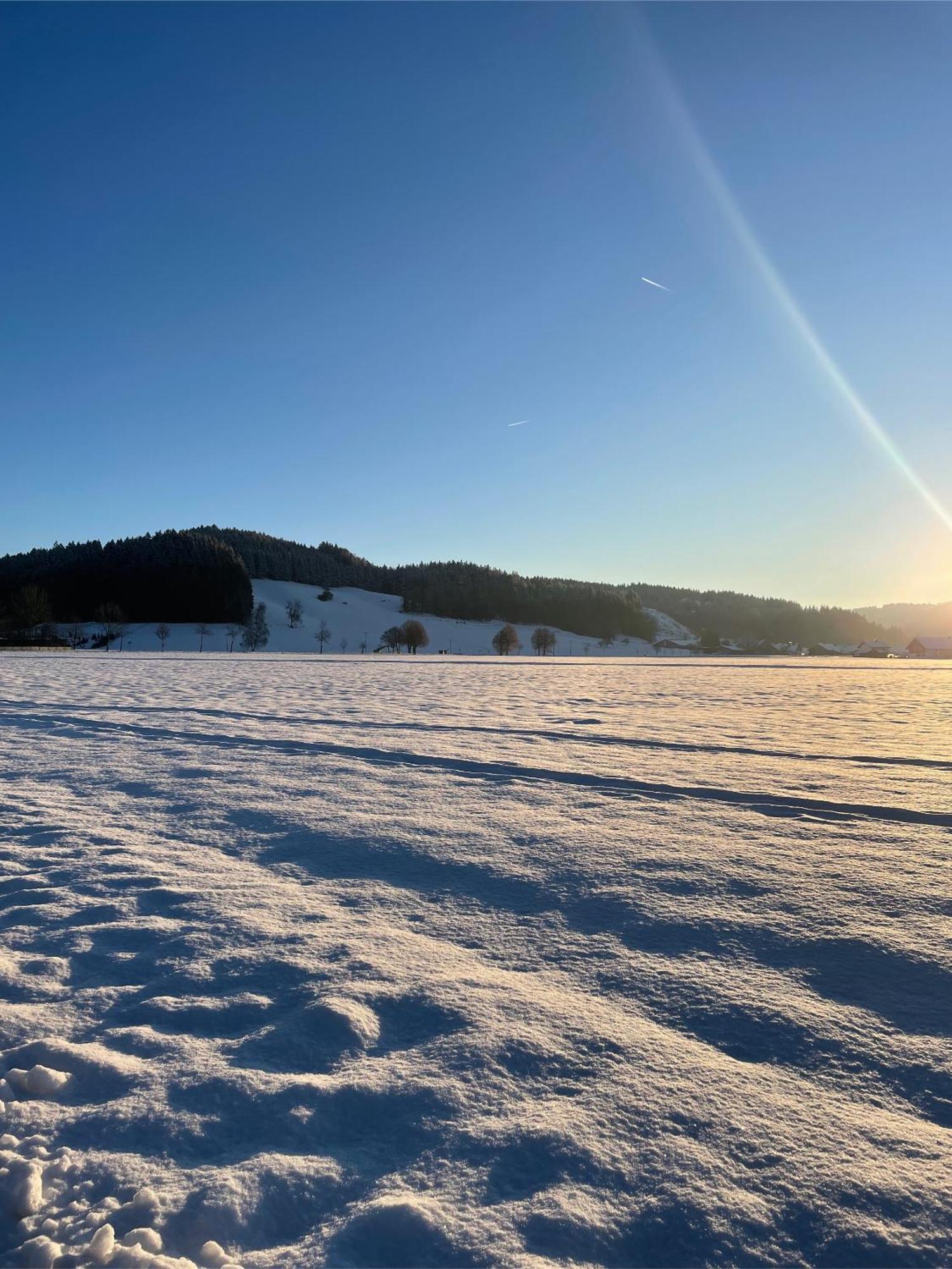 شقة Salty Sol Leutkirch im Allgäu المظهر الخارجي الصورة